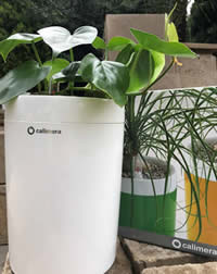 Stylish self watering containers